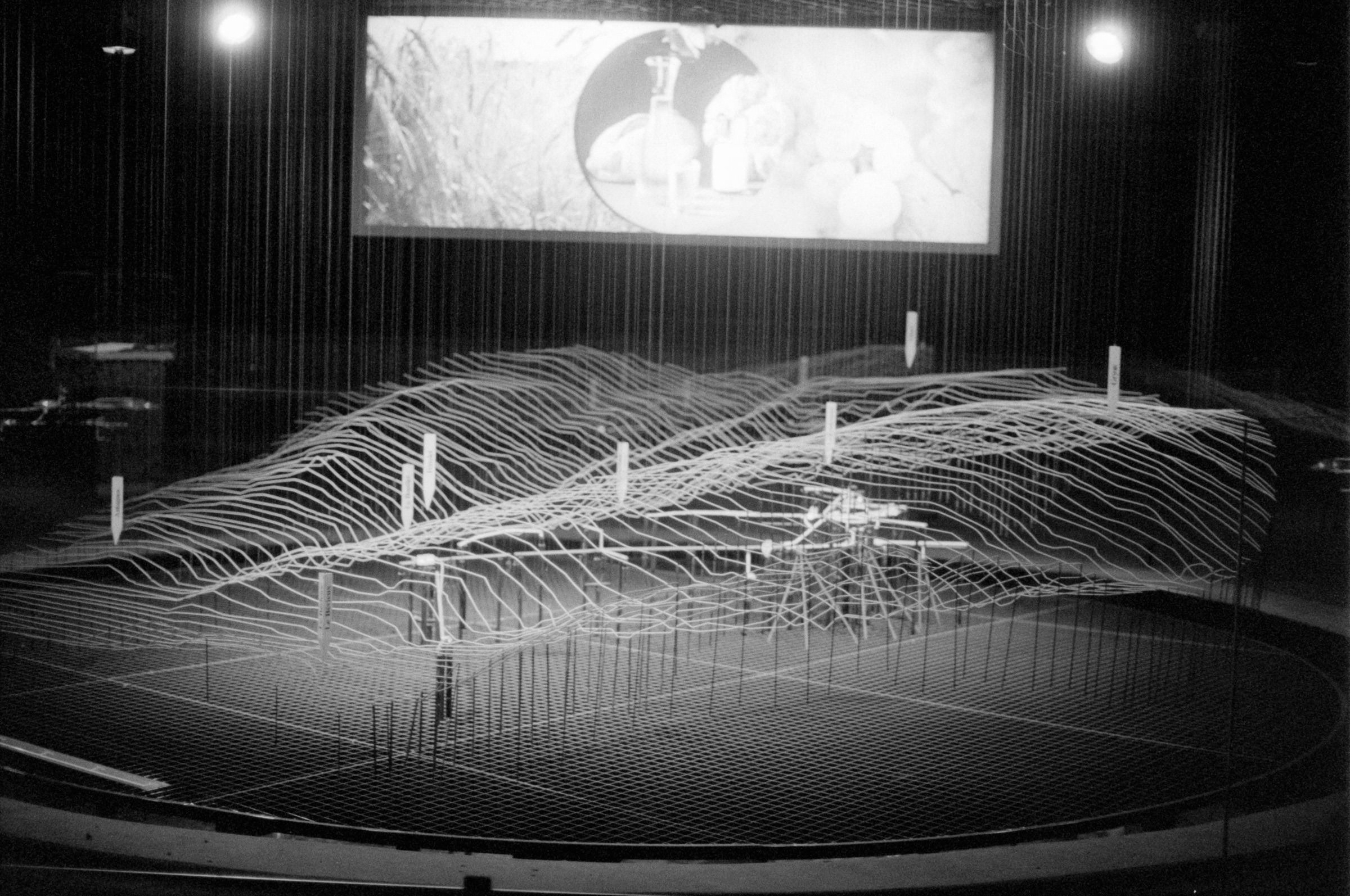 AHP F1994 11 007 sc250521 img28 NLP